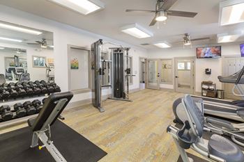 Cardio and weightlifting studio